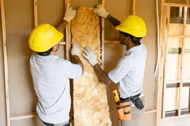 Best Spray Foam Insulation  in Port Lavaca, TX